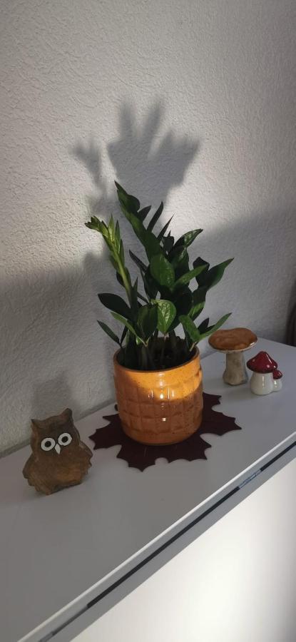 Ruhige Sout. Whg. Feldrandnaehe Apartment Seligenstadt Ngoại thất bức ảnh