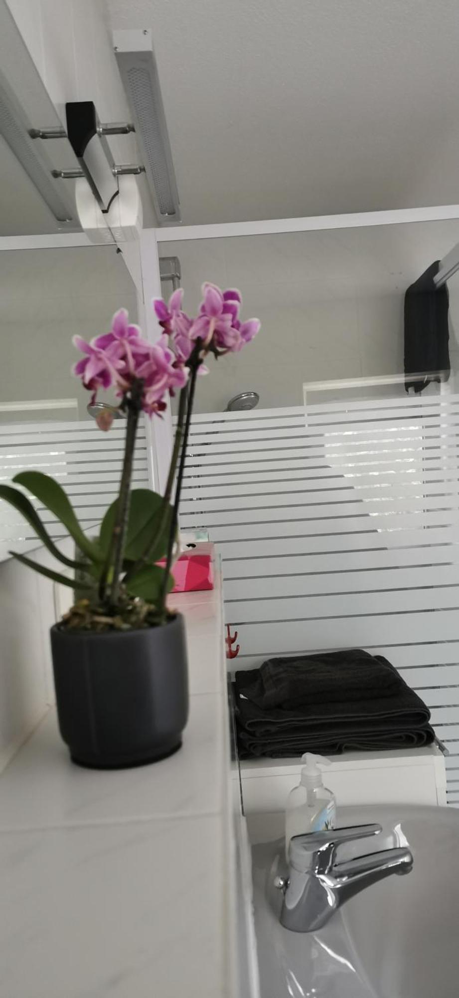 Ruhige Sout. Whg. Feldrandnaehe Apartment Seligenstadt Ngoại thất bức ảnh